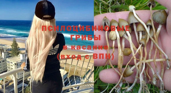 марихуана Богородицк