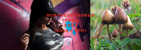 не бодяженный Богородск