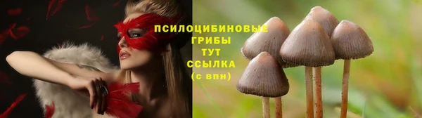 не бодяженный Богородск